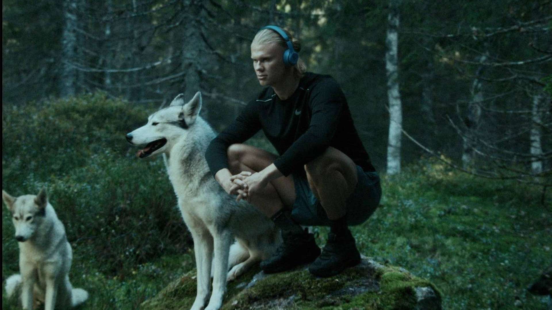 同样精准 同样精准