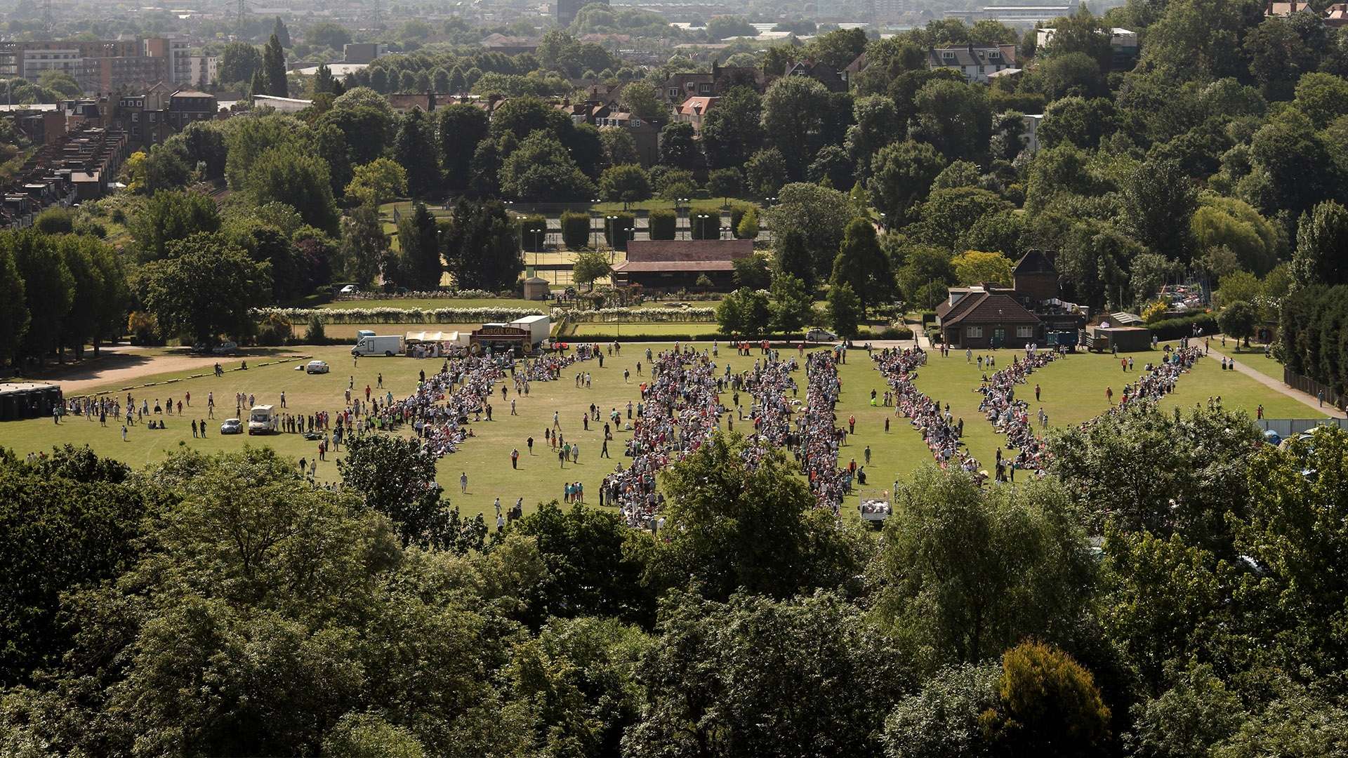 他们没有华 他们没有华